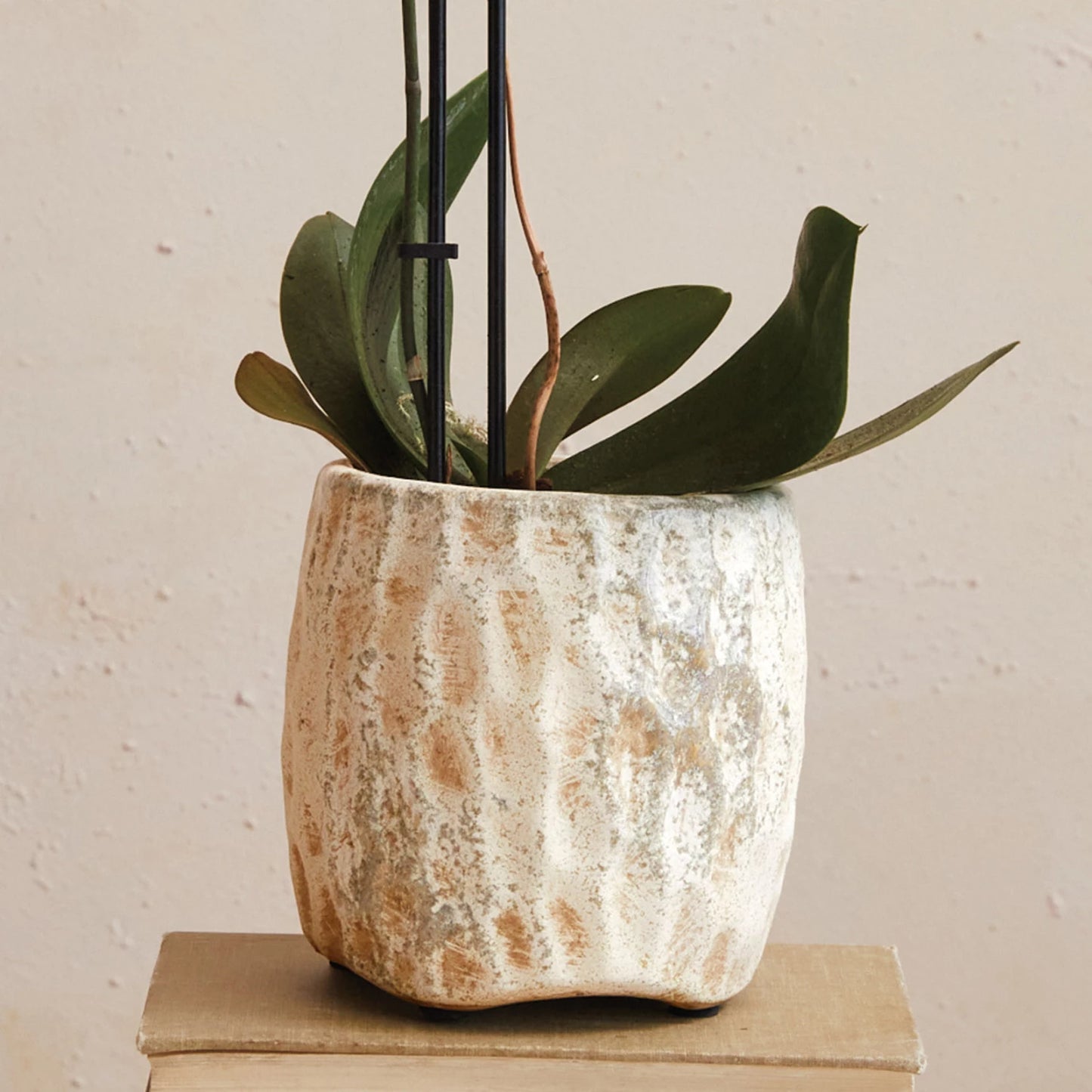 Sanctuary Cream Stoneware Planter