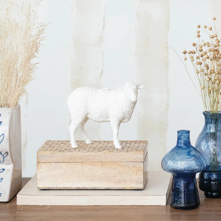 Carved Mango Wood Display Box