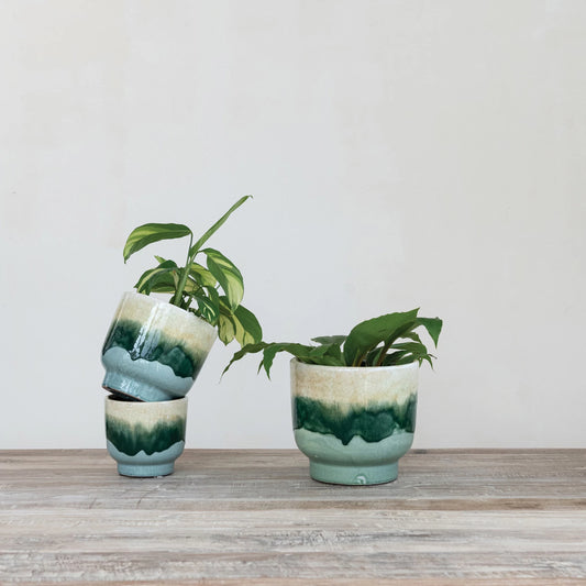Shoreline Crackle Glazed Planters