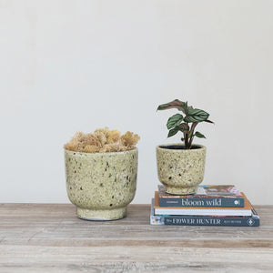 Terazzo Crackle Glazed Planters