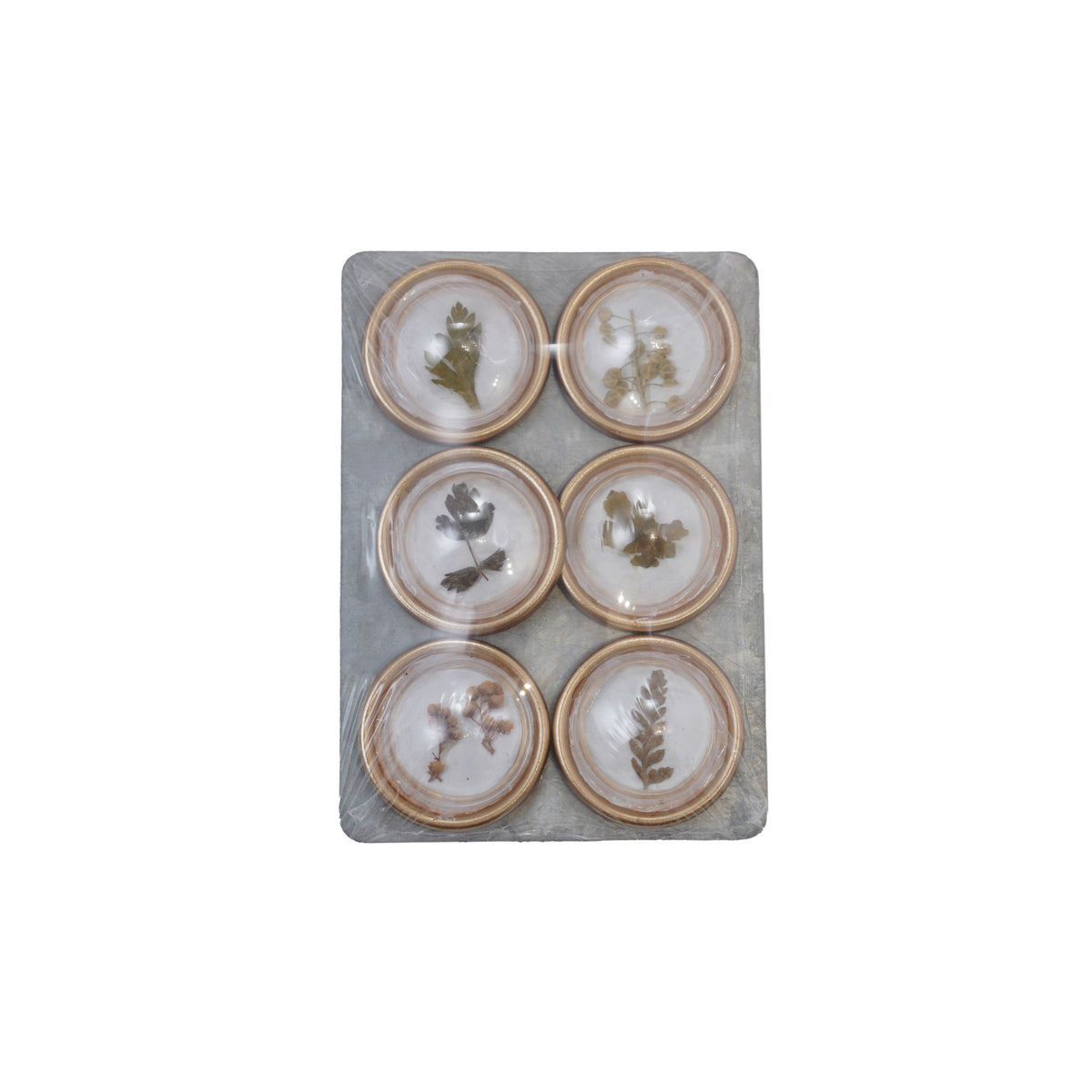 Botanicals Magnet Set