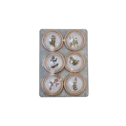 Botanicals Magnet Set