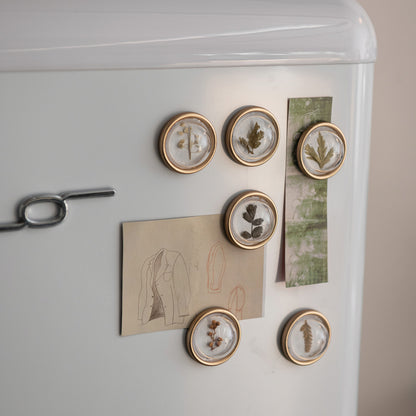 Botanicals Magnet Set