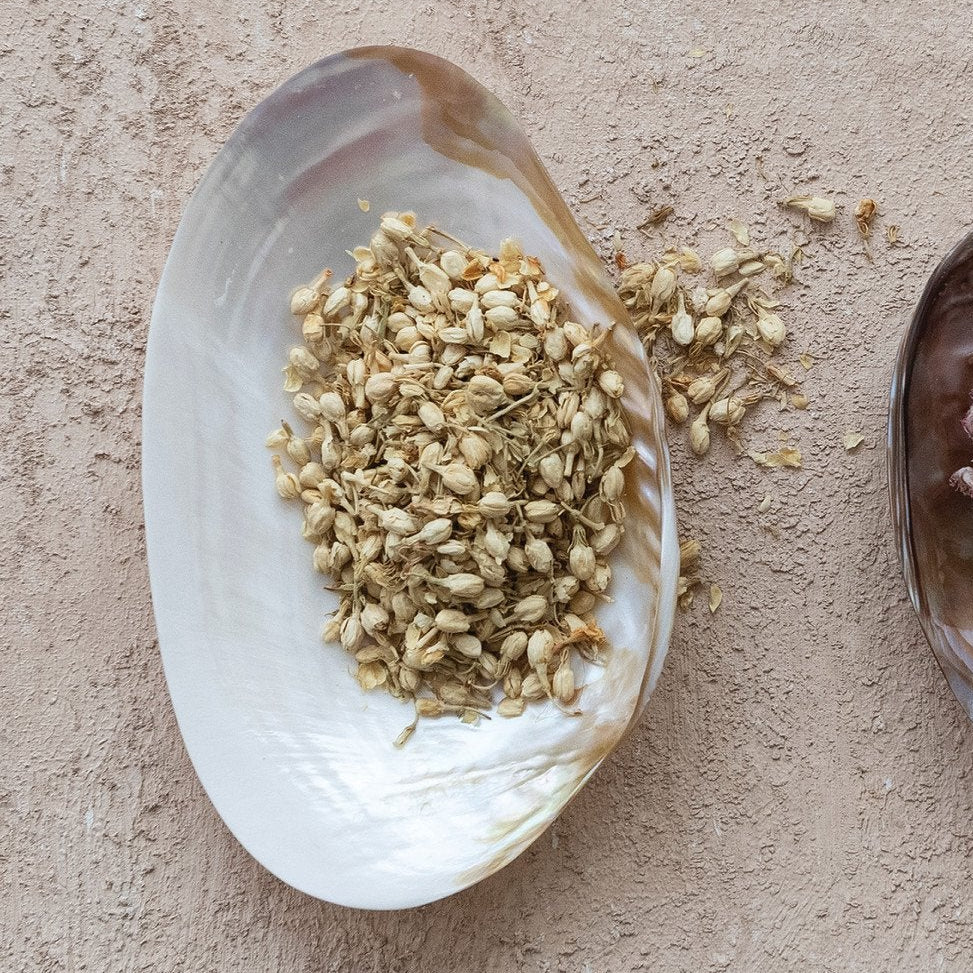 Decorative Natural Shell Footed Dish