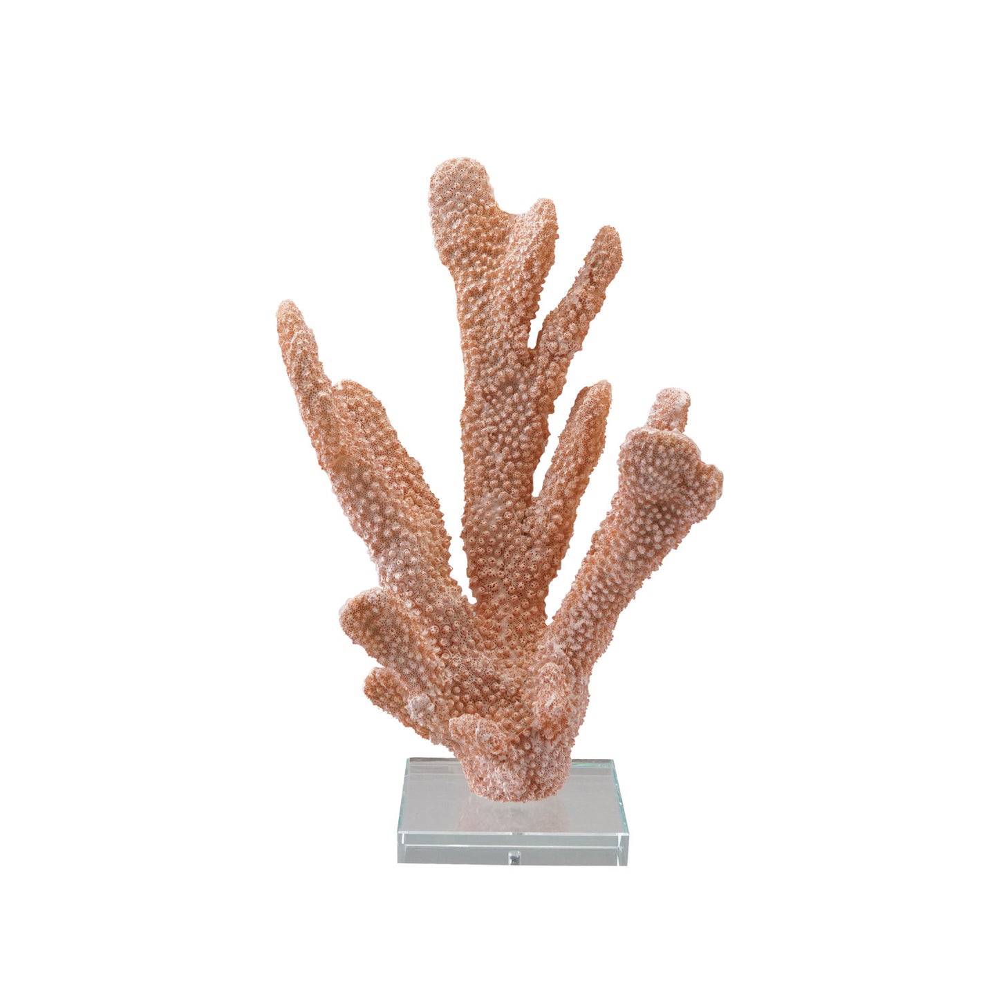 Resin Coral Decor with Acrylic Base