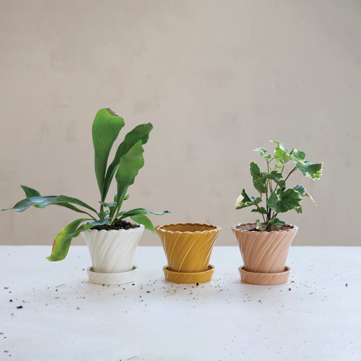 Stoneware Twisted Planter & Saucer
