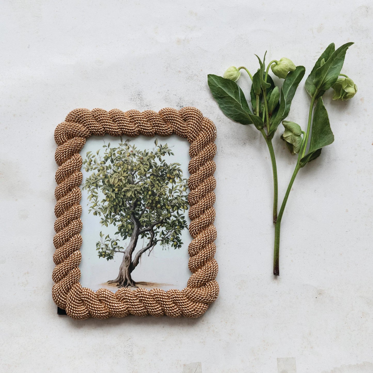 Resin Rope Gold Photo Frame
