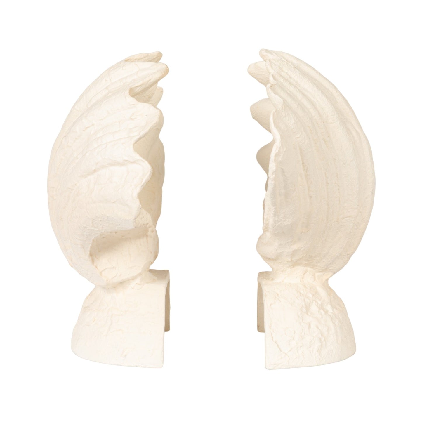 Textured Shell Shaped Bookends