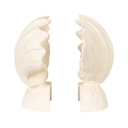 Textured Shell Shaped Bookends