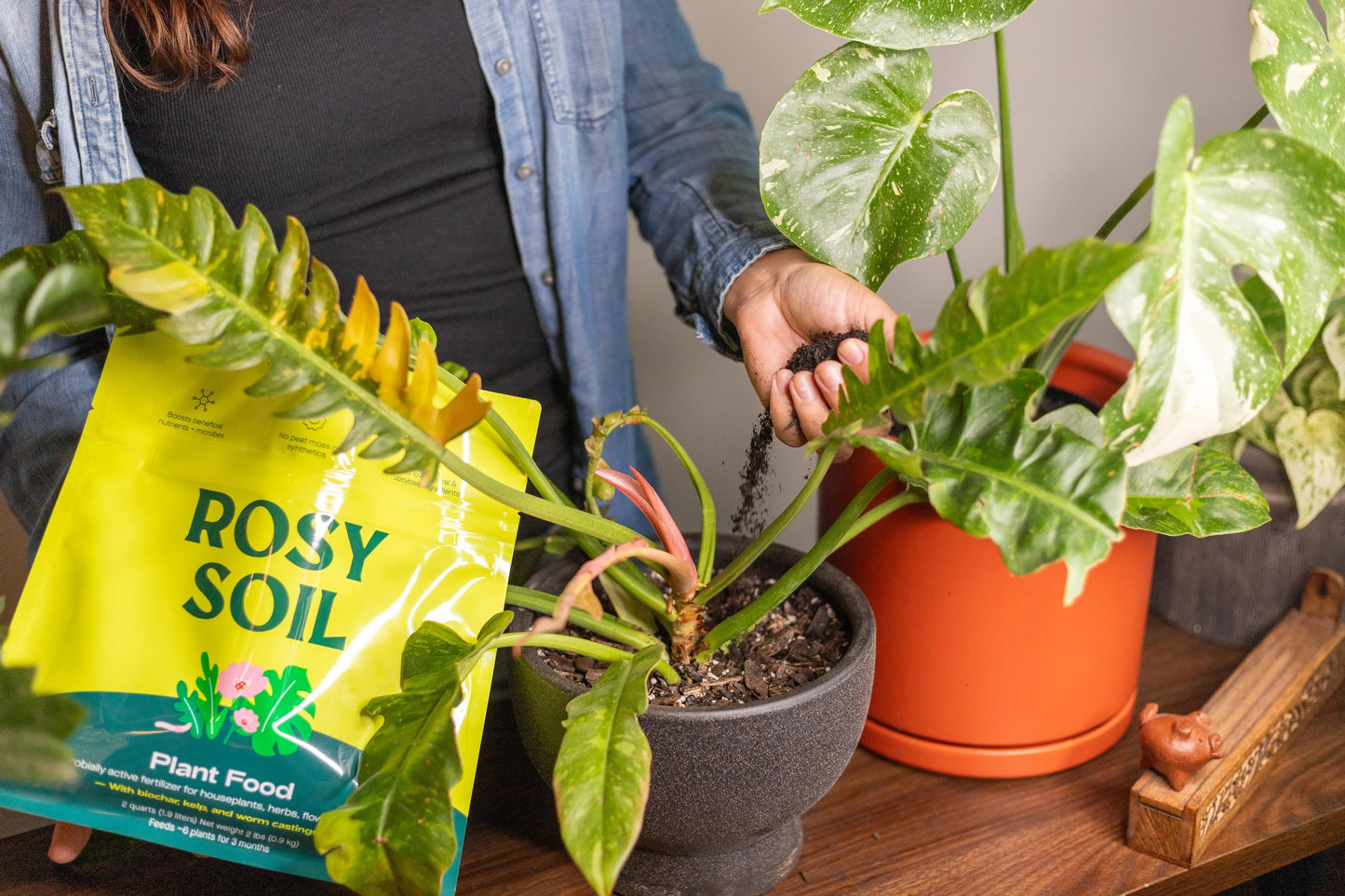 Rosy Soil Plant Food