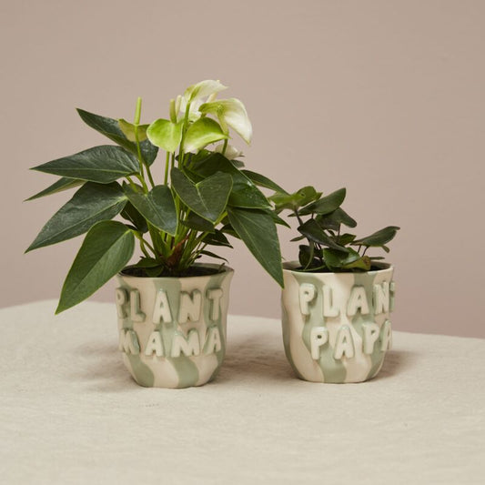 Favorite Plant Parent Pot