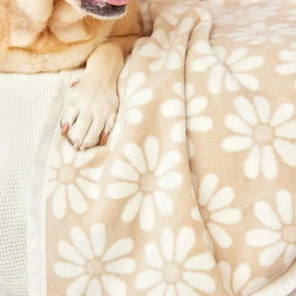 ChappyWrap Fresh As A Daisy Wheat Blanket