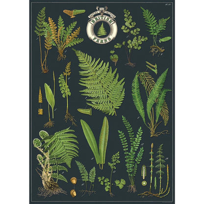 Cavallini Co Vintage Wrap Sheets