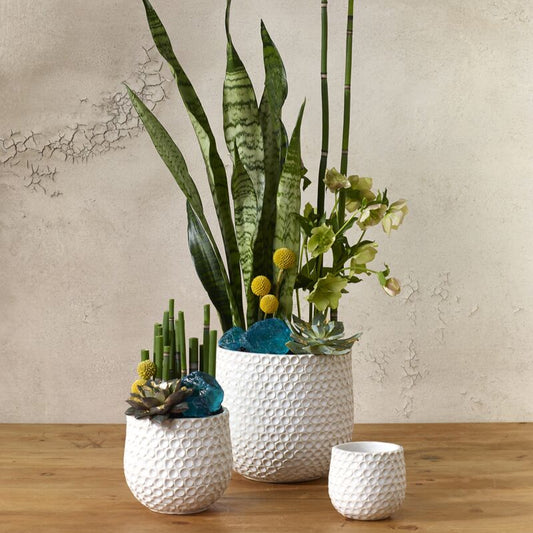 Ginny Pot