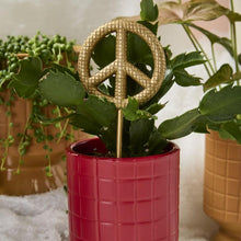 Load image into Gallery viewer, Glitzy Peace Plant Stick
