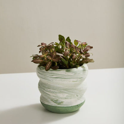 Greenway Pot