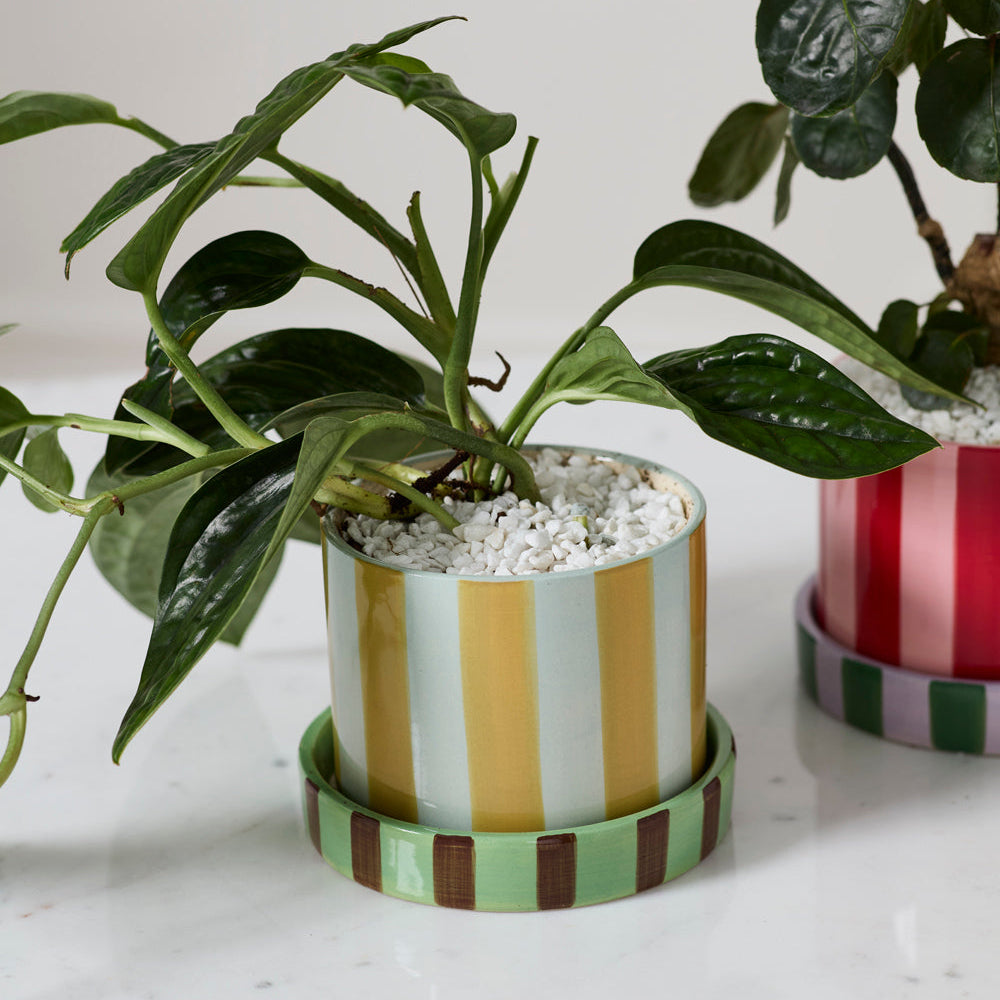 Joyelle Pot
