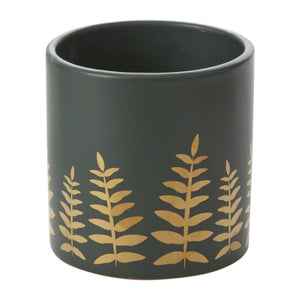 Midwinter Fern Pot