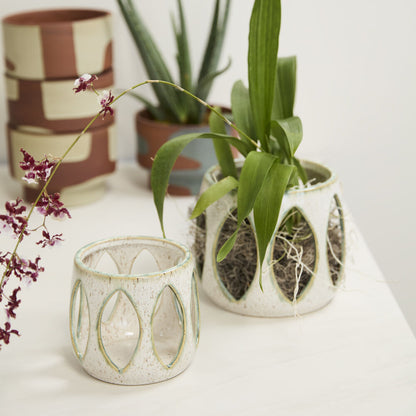 Minka Orchid Pot