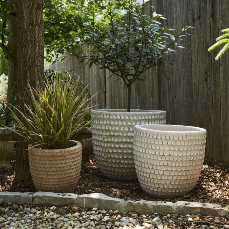 Nellie Pot