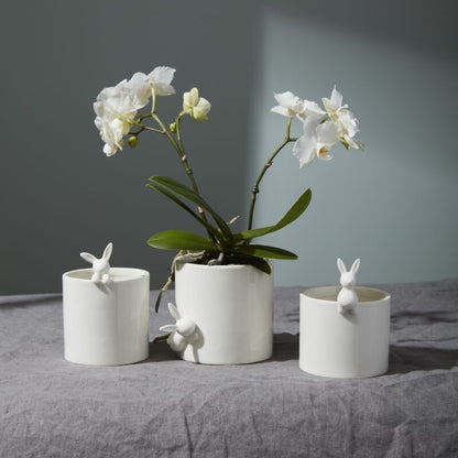 Peeking Bunny Pots