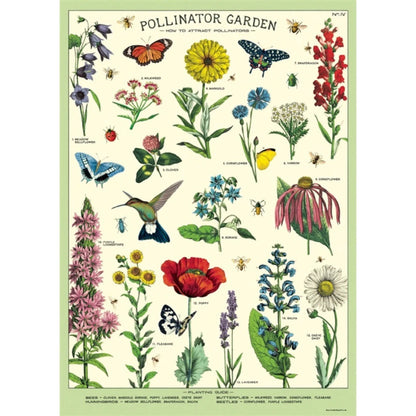Cavallini Co Vintage Wrap Sheets
