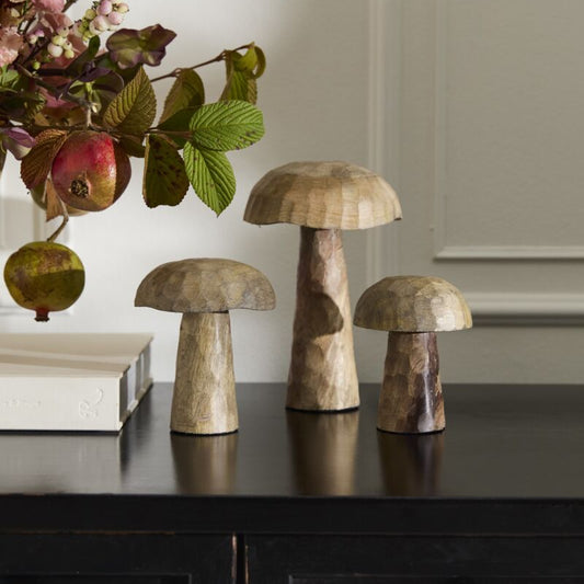 Porcini Mushroom