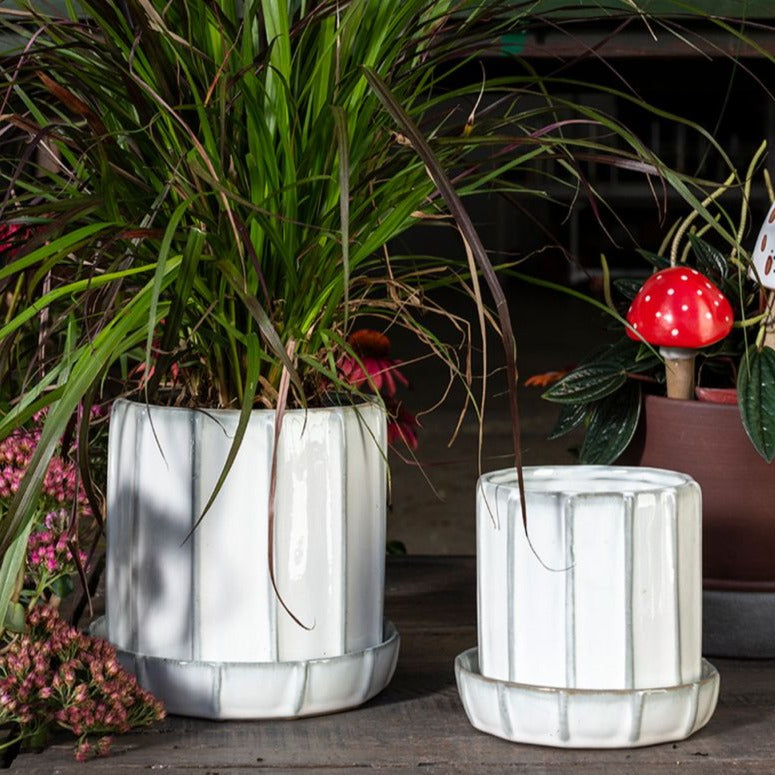 Tamar Pot