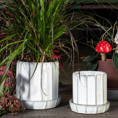 Tamar Pot