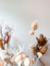 Load image into Gallery viewer, Dry Bar | Preserved Thistle
