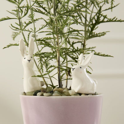 Thumper Plant Stick