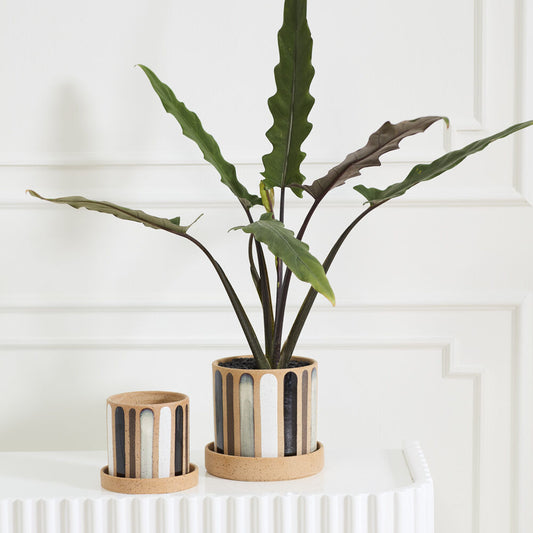 Truman Pot