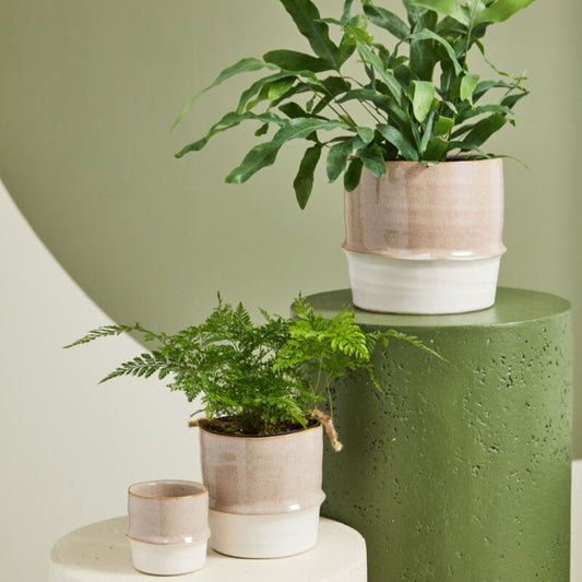 Valley Pot
