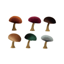 Load image into Gallery viewer, Velvet Mushrooms
