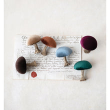 Load image into Gallery viewer, Velvet Mushrooms
