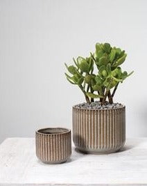 Habitat Pot