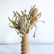 Load image into Gallery viewer, Dry Banksia in Modern Mustard Vase
