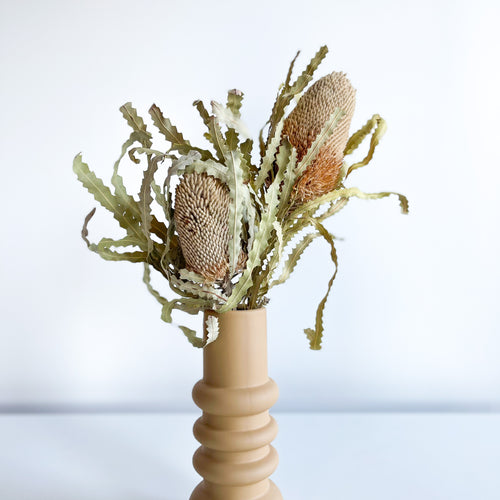 Dry Banksia in Modern Mustard Vase