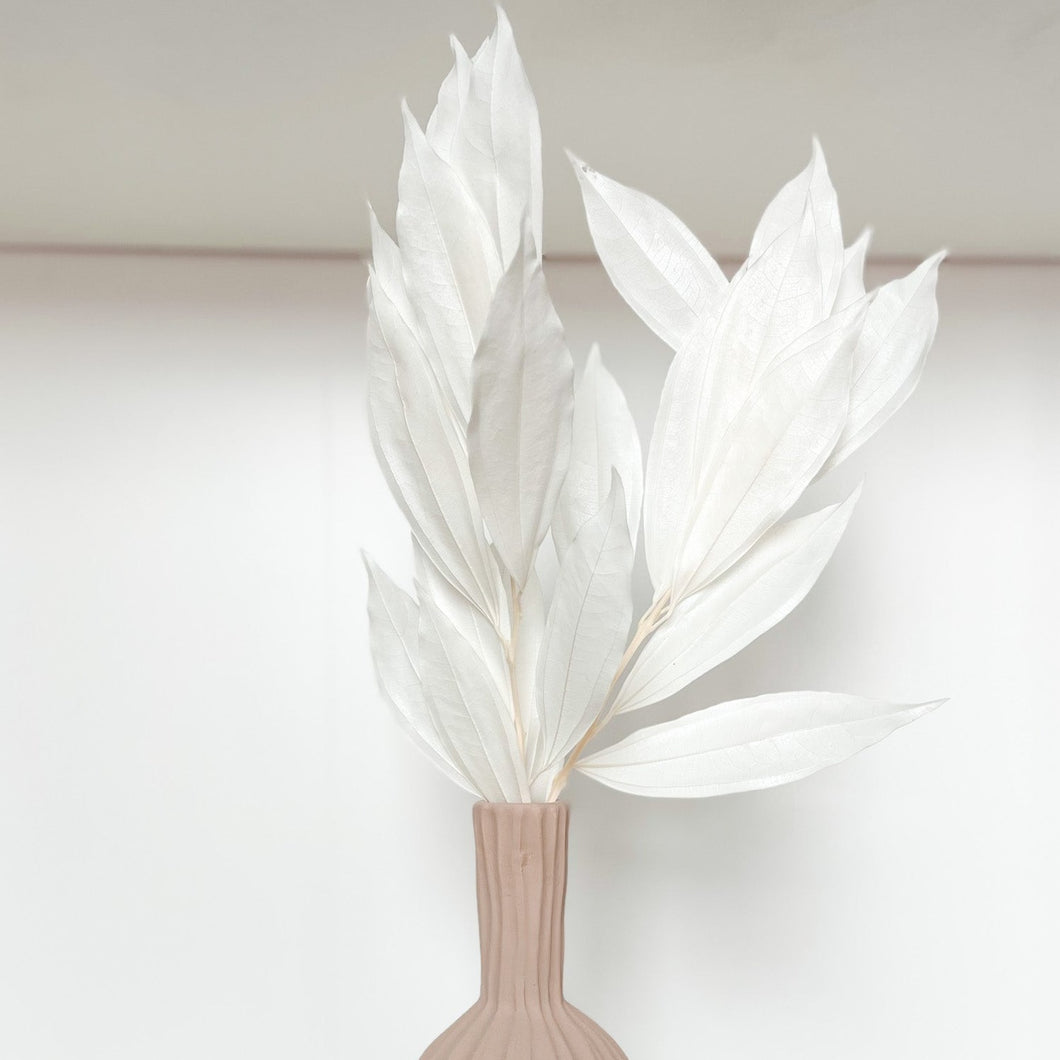 Beautiful white dry floral leaves in neutral vase