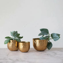 Load image into Gallery viewer, Golden Debossed Leaf Planters
