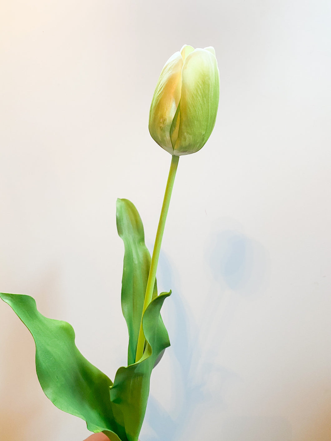 Green Faux - artificial flowers - tulips - Fake