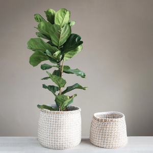 Natural Woven Baskets with plant inside