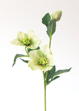 Load image into Gallery viewer, springtime fake hellebores spring flower - faux Flower
