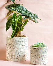 Load image into Gallery viewer, Beautiful speckled pot is the perfect modern pot for your home office decor. 
