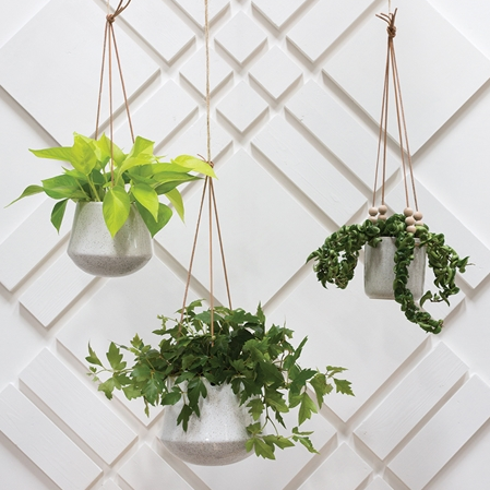 Kenzie Hanging Pot with plants 