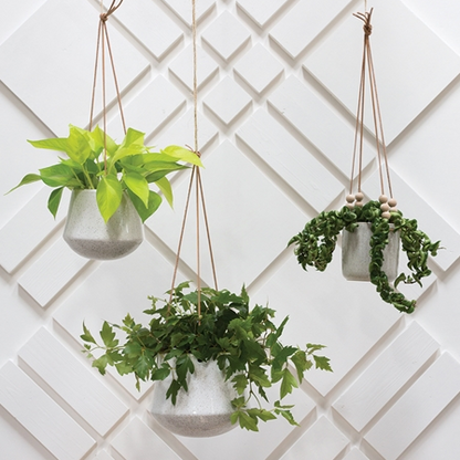Kenzie Hanging Pot with plants 