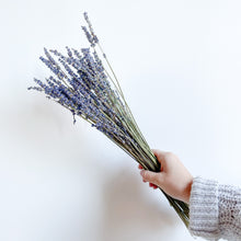 Load image into Gallery viewer, Dry Bar | Lavender Bundles
