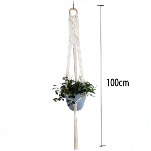 Macrame Hanger with Plant