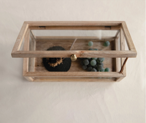 Mango Wood + Glass Display Box