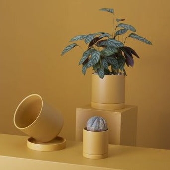 Romey Pot